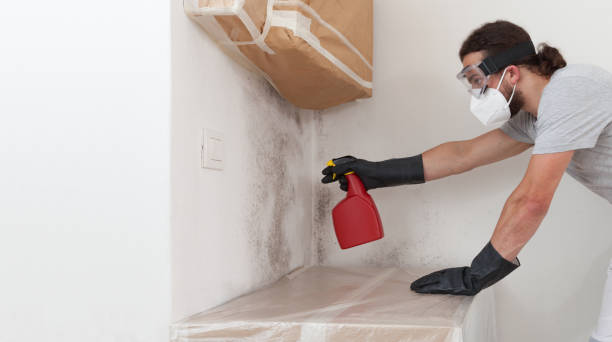 Professional Mold Remediation technician working in Hector, MN